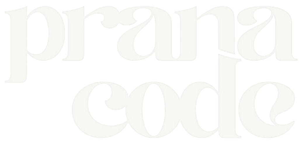 pranacode.com